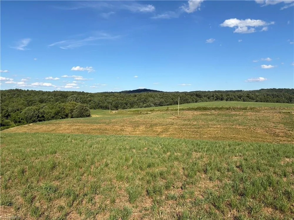 1779 Round Hill Church Road Traphill, NC 28685