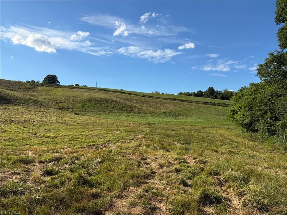 1779 Round Hill Church Road Traphill, NC 28685