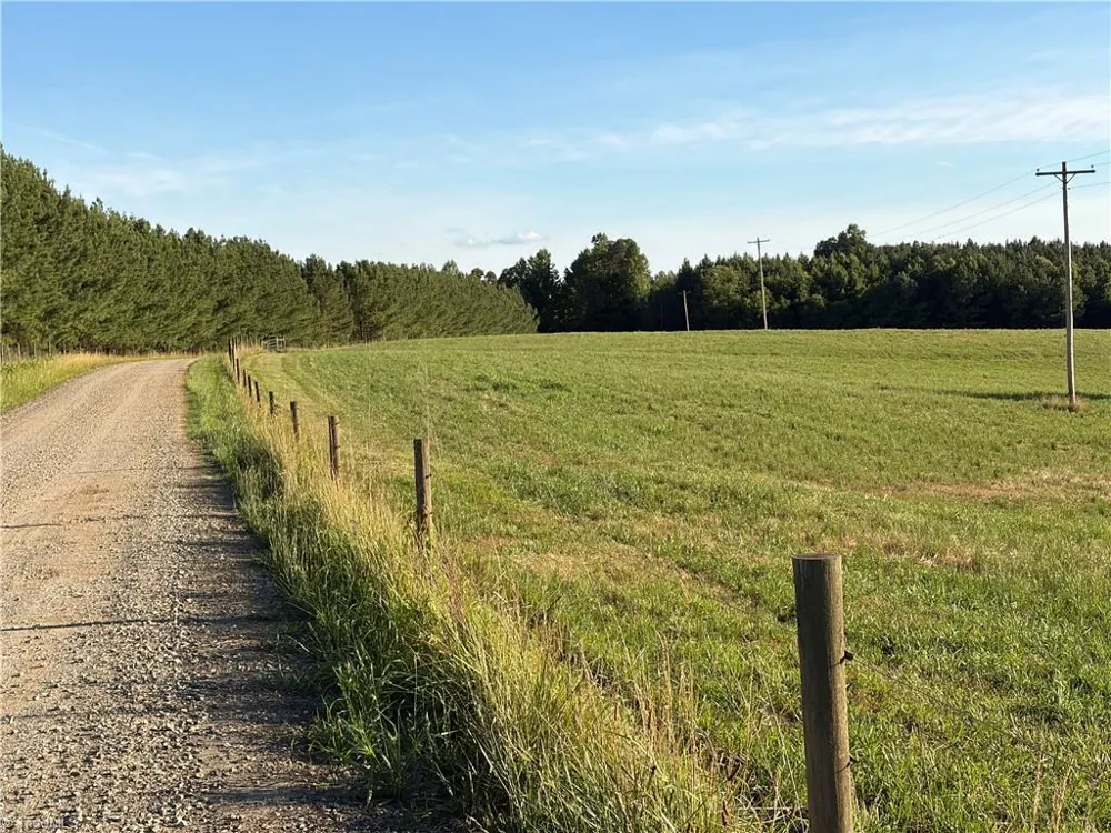 1779 Round Hill Church Road Traphill, NC 28685