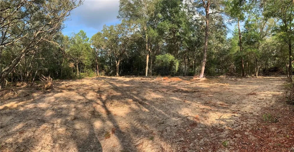 132 SW 52ND AVENUE Interlachen, FL 32148