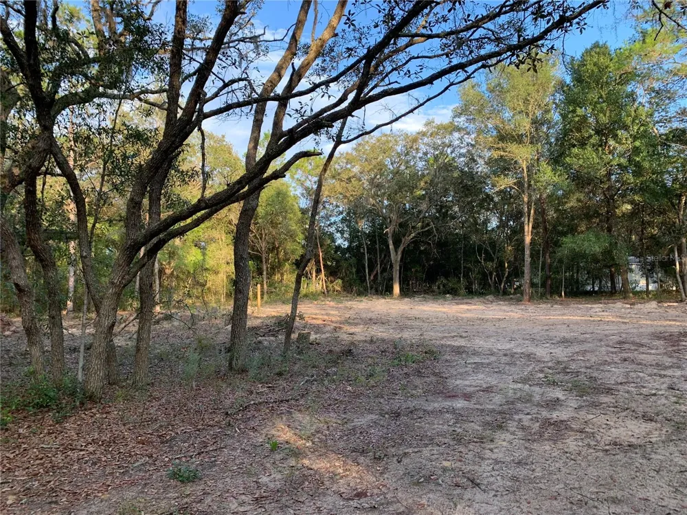 132 SW 52ND AVENUE Interlachen, FL 32148