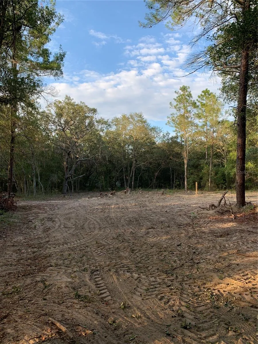 132 SW 52ND AVENUE Interlachen, FL 32148