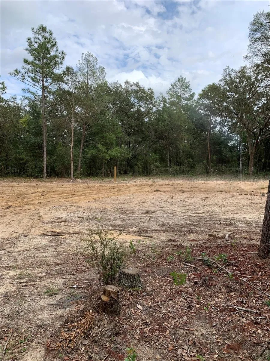 132 SW 52ND AVENUE Interlachen, FL 32148