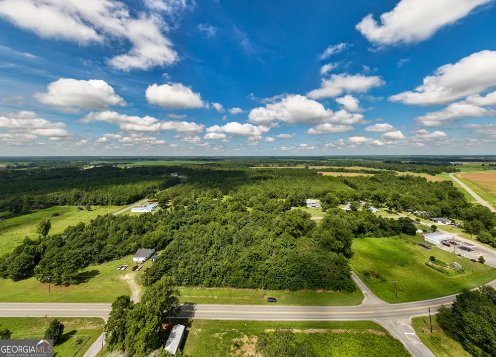 2.8 +/- ACRES Pineway HWY Pineview, GA 31071
