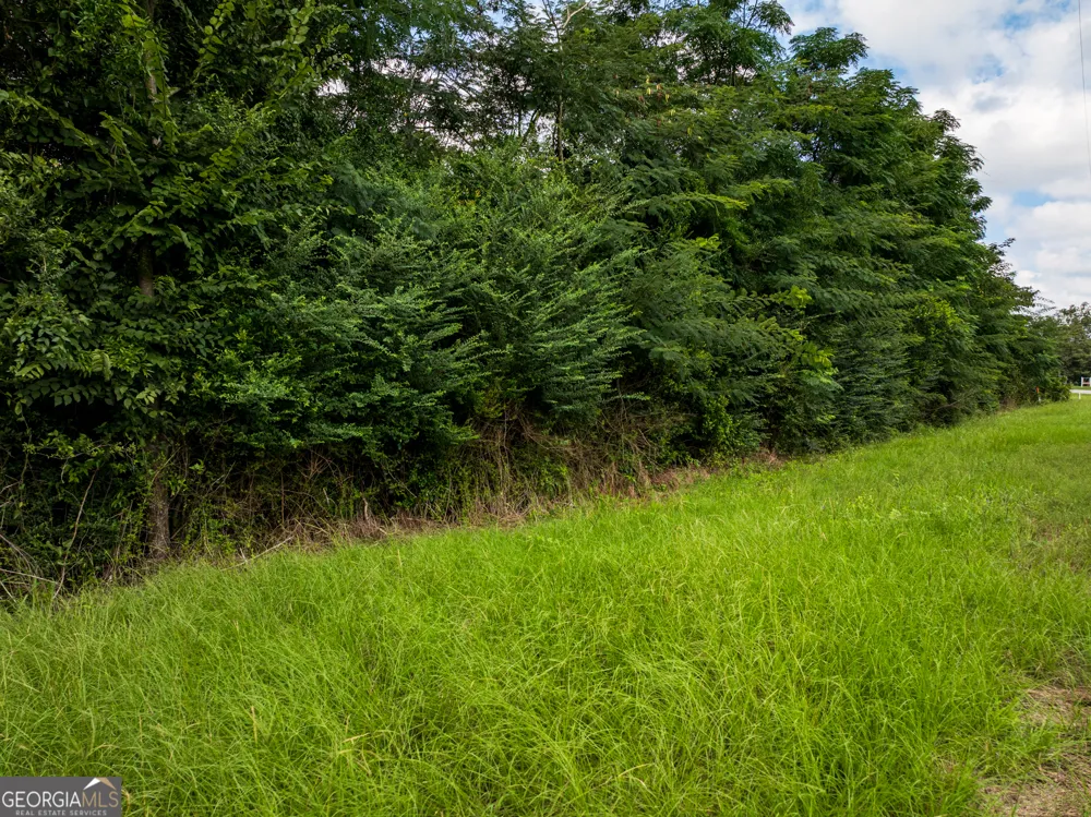 2.8 +/- ACRES Pineway HWY Pineview, GA 31071