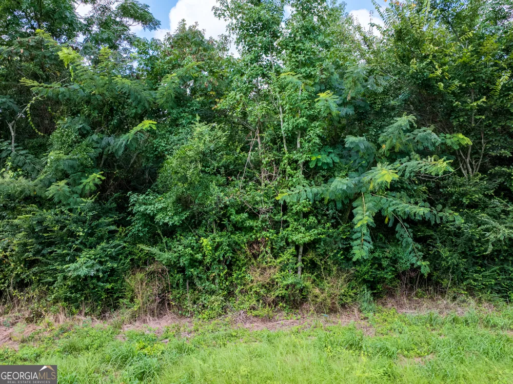 2.8 +/- ACRES Pineway HWY Pineview, GA 31071
