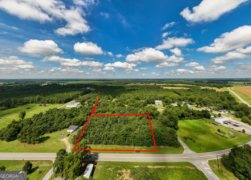 2.8 +/- ACRES Pineway HWY Pineview, GA 31071