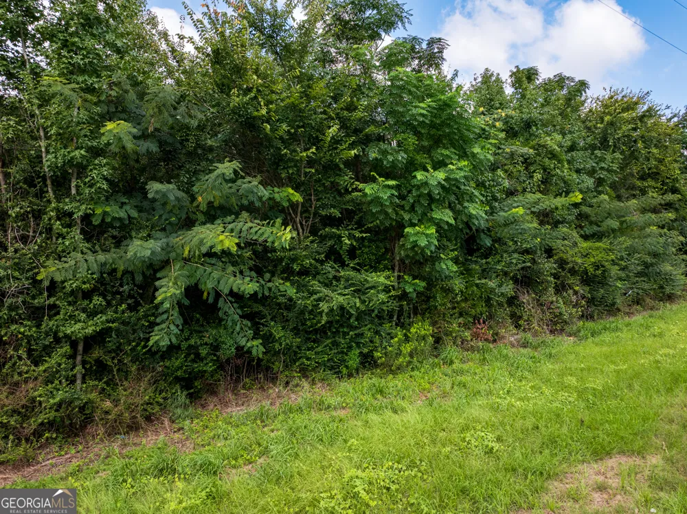 2.8 +/- ACRES Pineway HWY Pineview, GA 31071