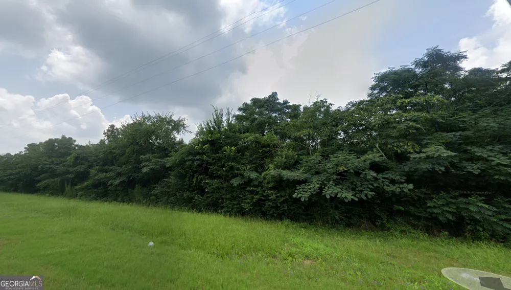 2.8 +/- ACRES Pineway HWY Pineview, GA 31071