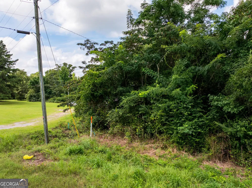 2.8 +/- ACRES Pineway HWY Pineview, GA 31071