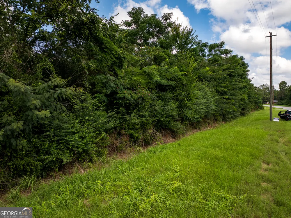 2.8 +/- ACRES Pineway HWY Pineview, GA 31071