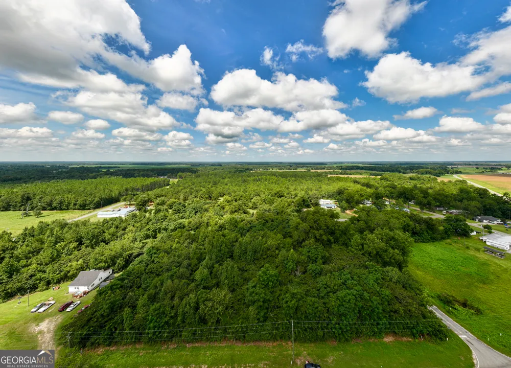 2.8 +/- ACRES Pineway HWY Pineview, GA 31071
