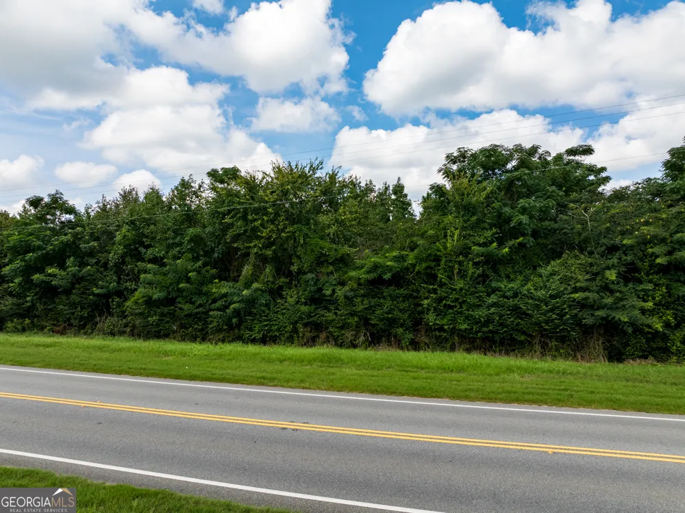 2.8 +/- ACRES Pineway HWY Pineview, GA 31071