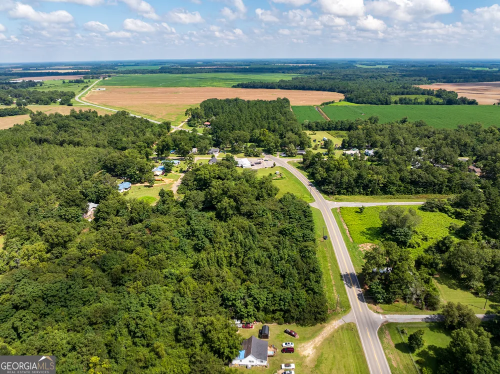 2.8 +/- ACRES Pineway HWY Pineview, GA 31071