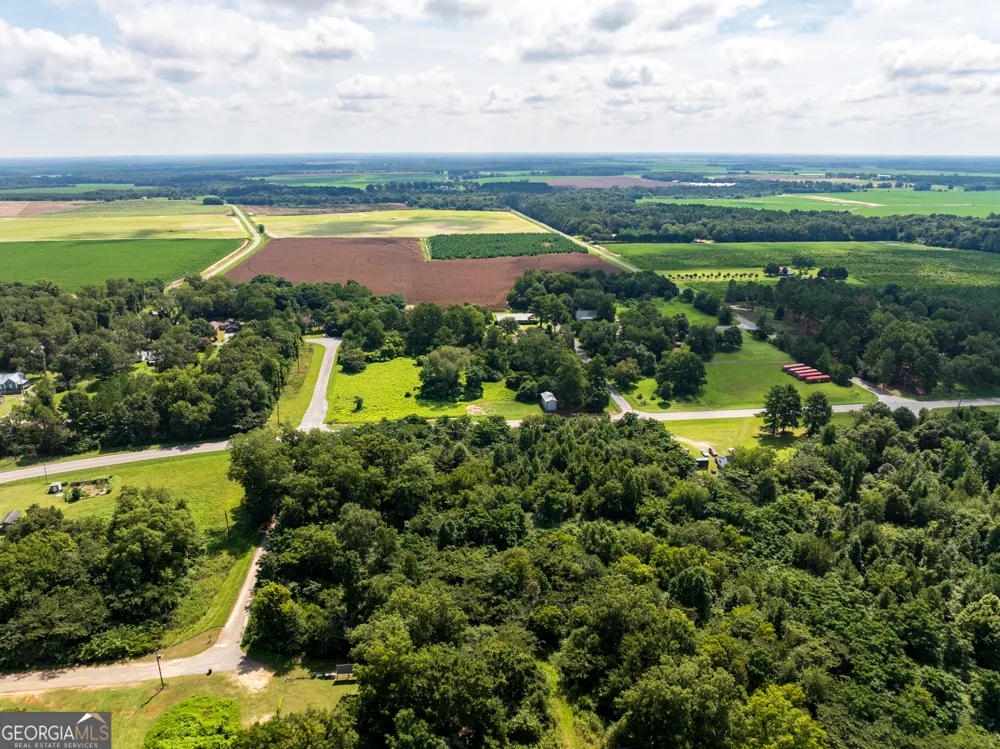2.8 +/- ACRES Pineway HWY Pineview, GA 31071
