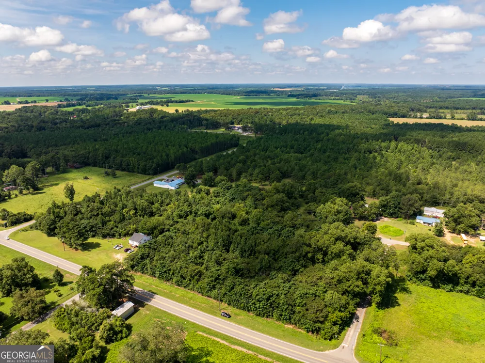 2.8 +/- ACRES Pineway HWY Pineview, GA 31071