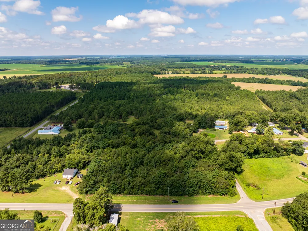 2.8 +/- ACRES Pineway HWY Pineview, GA 31071