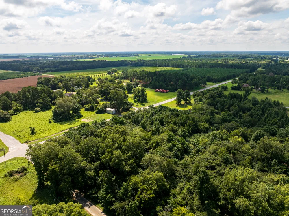 2.8 +/- ACRES Pineway HWY Pineview, GA 31071