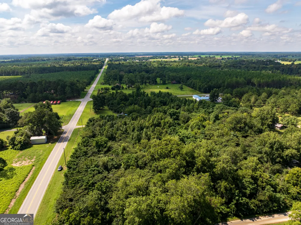 2.8 +/- ACRES Pineway HWY Pineview, GA 31071