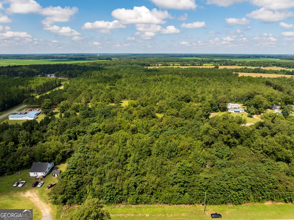 2.8 +/- ACRES Pineway HWY Pineview, GA 31071