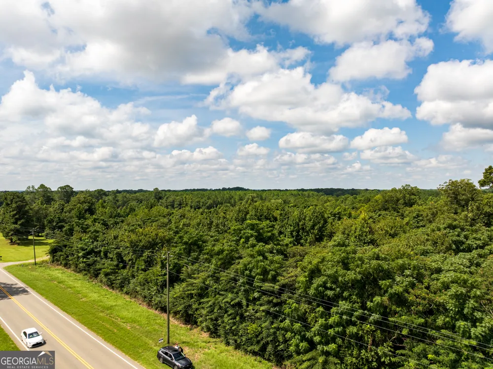 2.8 +/- ACRES Pineway HWY Pineview, GA 31071
