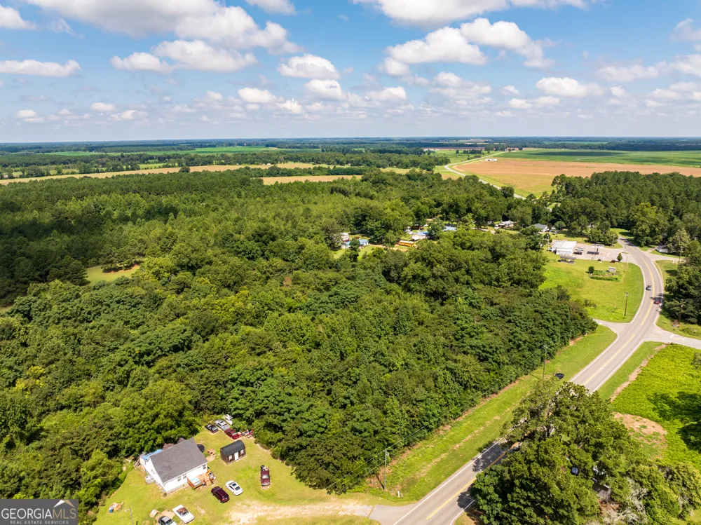 2.8 +/- ACRES Pineway HWY Pineview, GA 31071