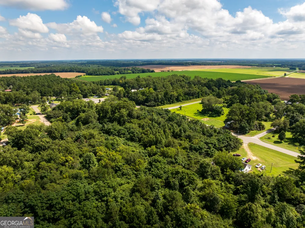 2.8 +/- ACRES Pineway HWY Pineview, GA 31071