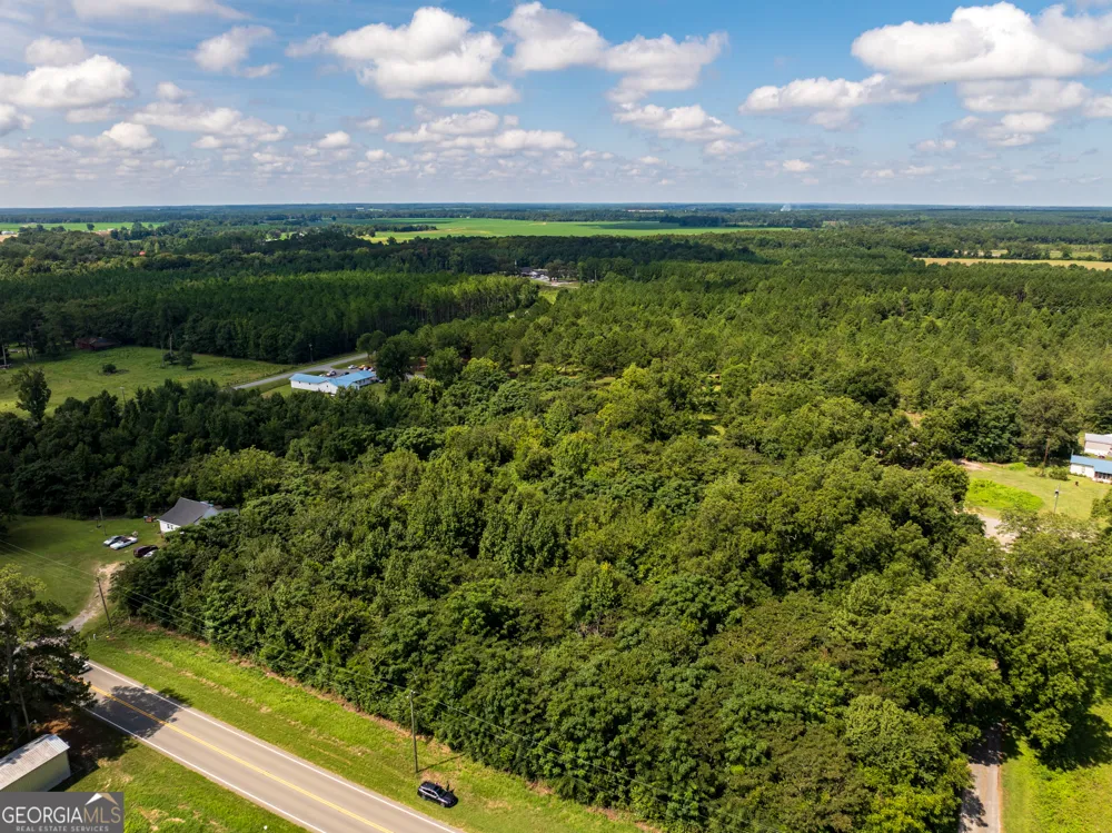 2.8 +/- ACRES Pineway HWY Pineview, GA 31071