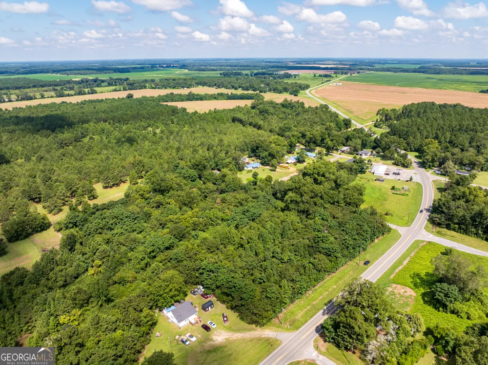 2.8 +/- ACRES Pineway HWY Pineview, GA 31071