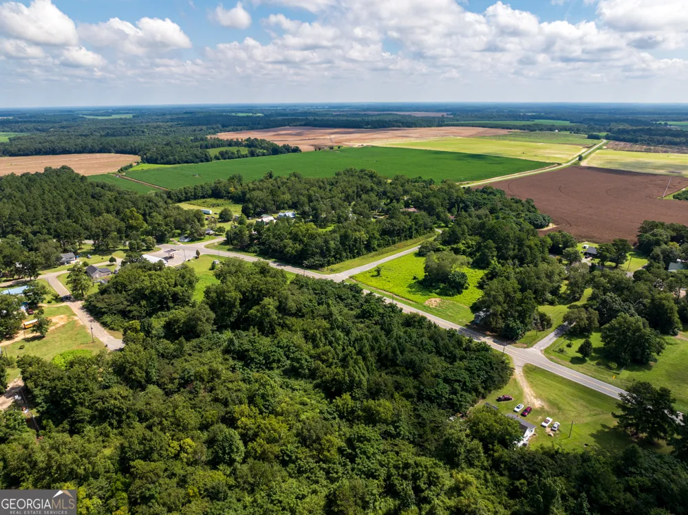 2.8 +/- ACRES Pineway HWY Pineview, GA 31071