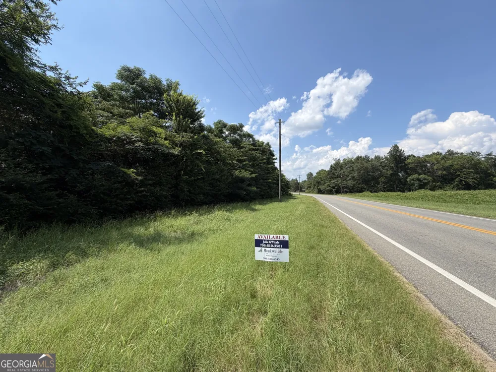 2.8 +/- ACRES Pineway HWY Pineview, GA 31071
