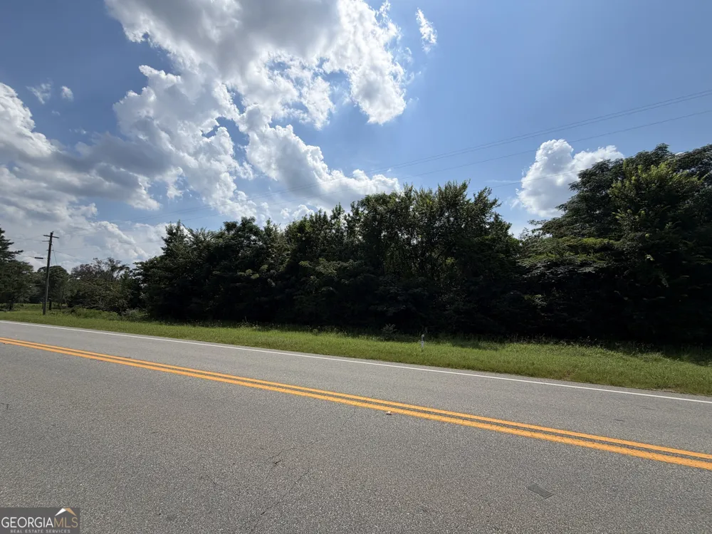 2.8 +/- ACRES Pineway HWY Pineview, GA 31071