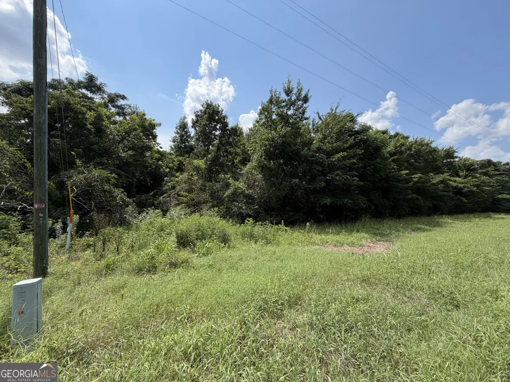2.8 +/- ACRES Pineway HWY Pineview, GA 31071