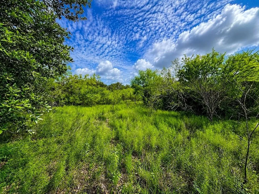 Water Oak Road Columbus, TX 78934
