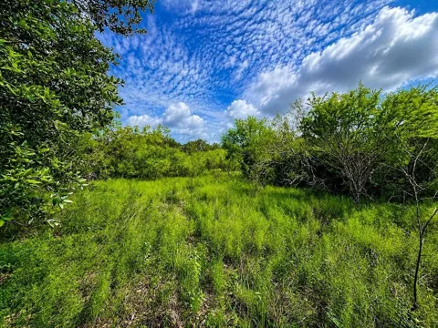 Water Oak Road