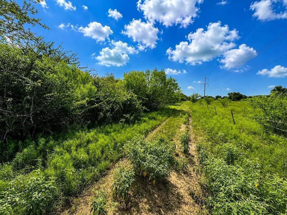 Water Oak Road Columbus, TX 78934
