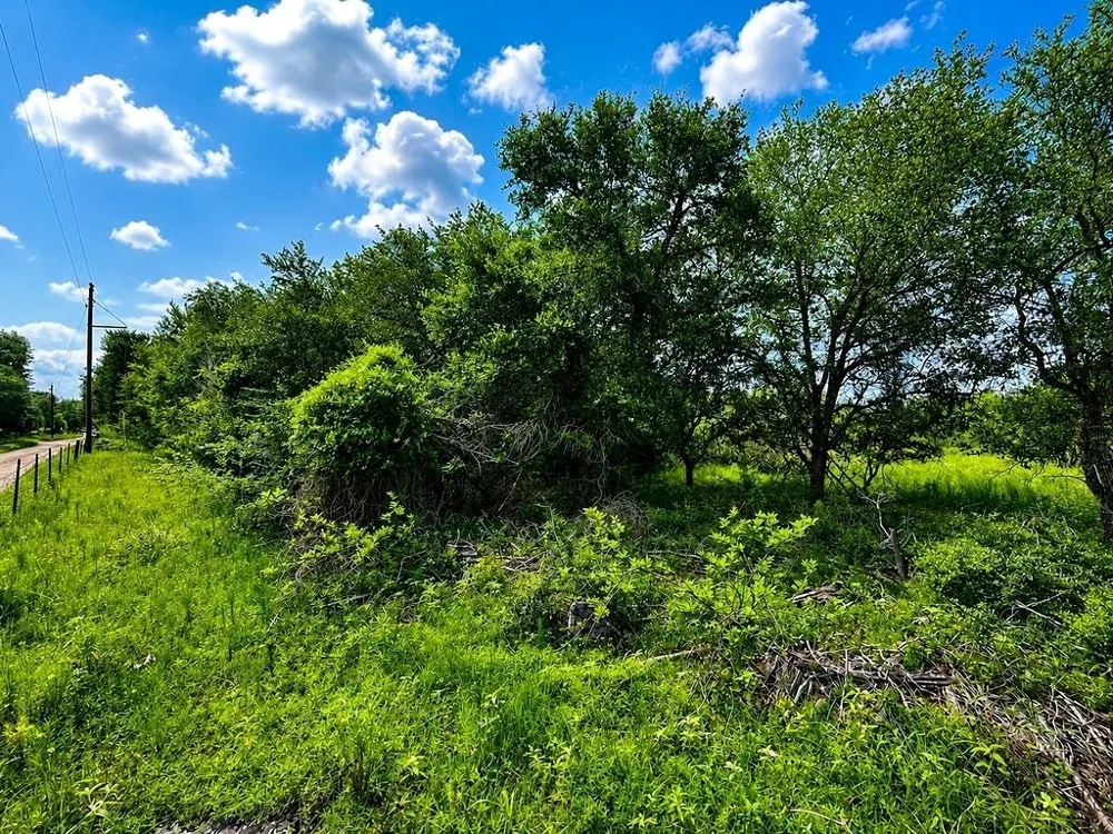Water Oak Road Columbus, TX 78934