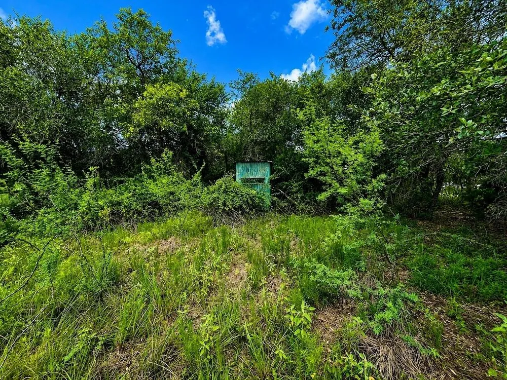 Water Oak Road Columbus, TX 78934