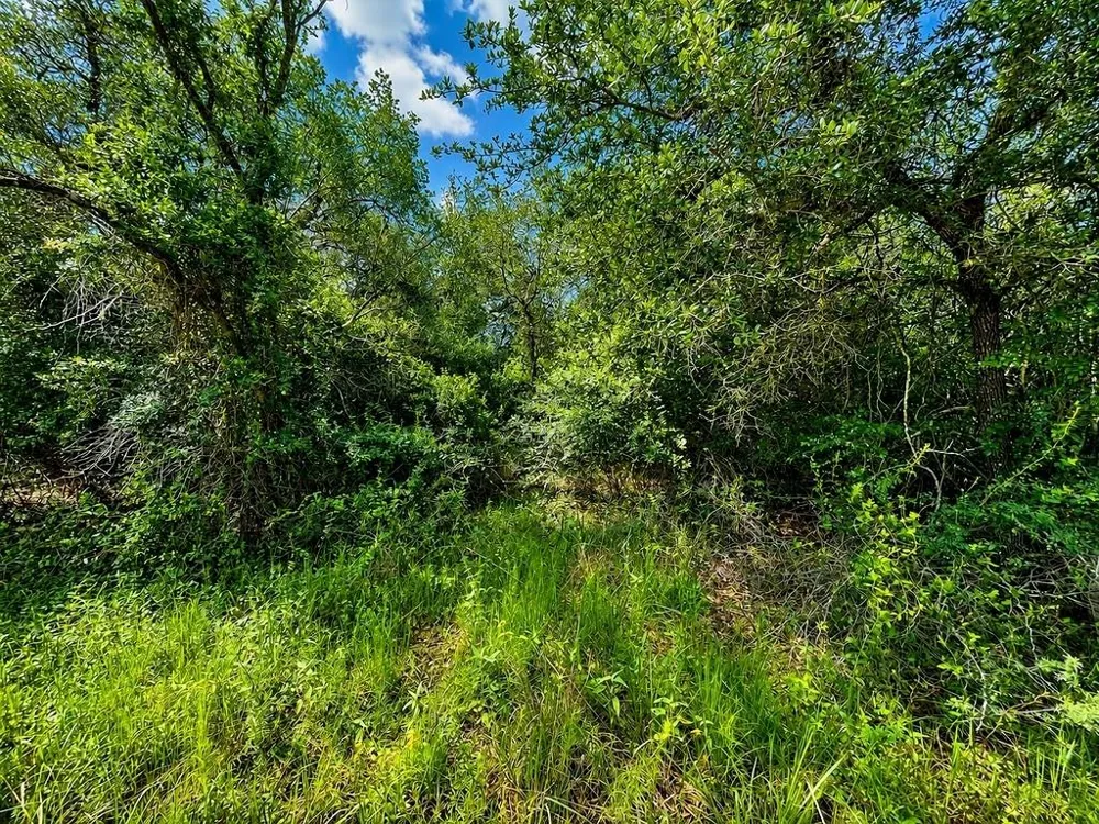 Water Oak Road Columbus, TX 78934