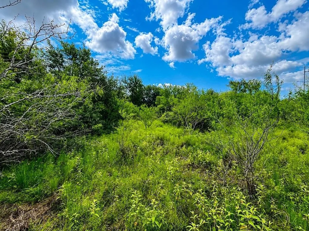 Water Oak Road Columbus, TX 78934