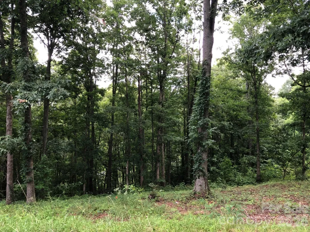45 Sweet Fern Parkway #43 Asheville, NC 28804