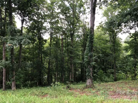 45 Sweet Fern Parkway #43