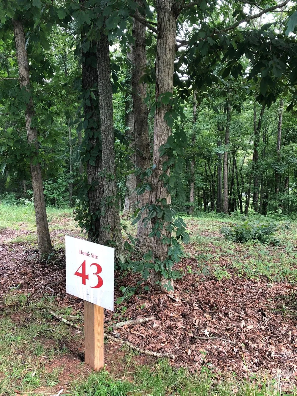 45 Sweet Fern Parkway #43 Asheville, NC 28804