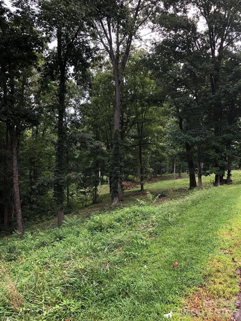 45 Sweet Fern Parkway #43 Asheville, NC 28804