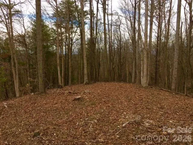 45 Sweet Fern Parkway #43 Asheville, NC 28804
