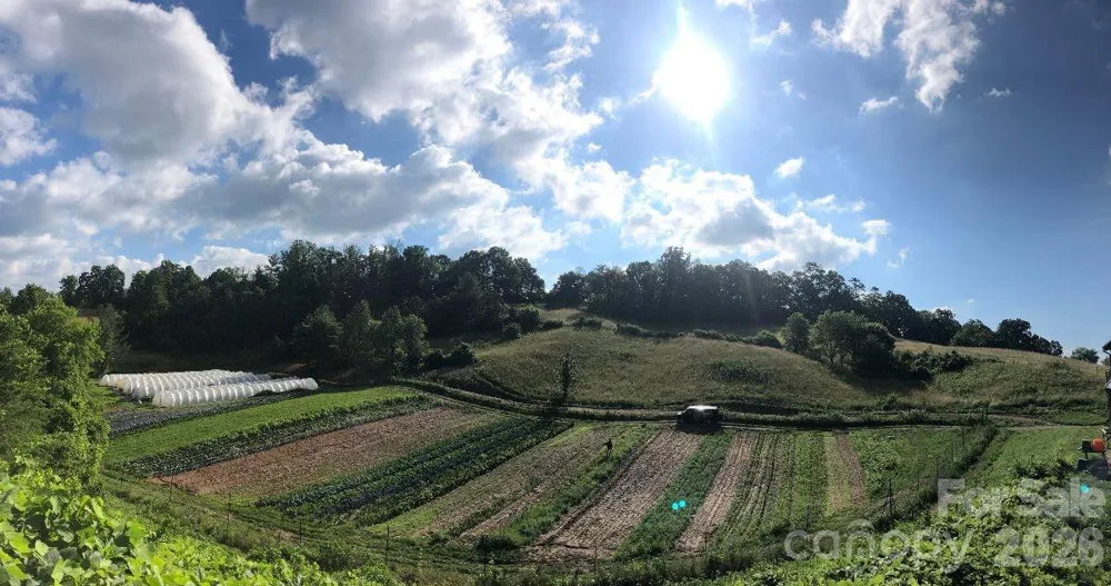 45 Sweet Fern Parkway #43 Asheville, NC 28804
