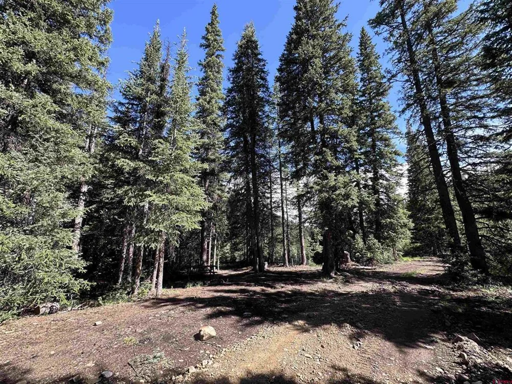 11 Overland Estates, CR 110 Silverton, CO 81433