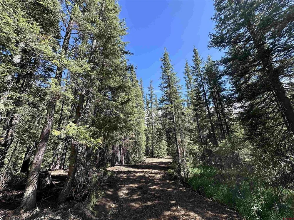 11 Overland Estates, CR 110 Silverton, CO 81433