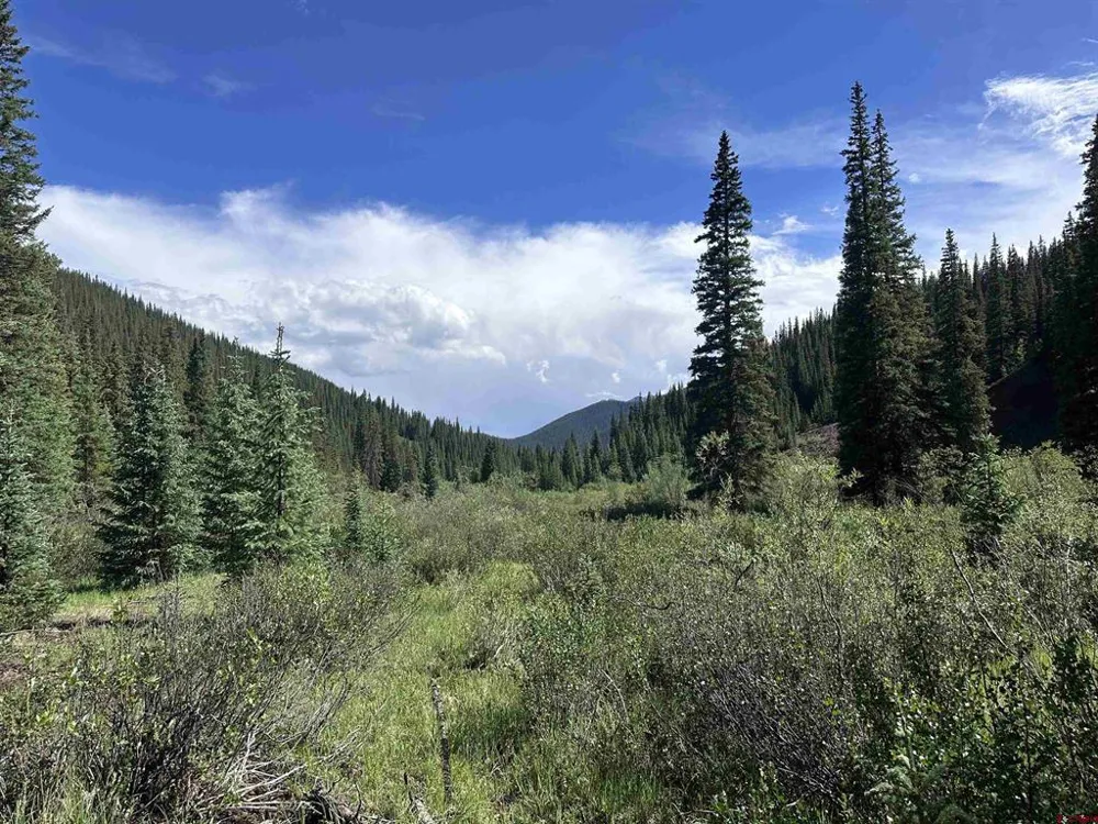 11 Overland Estates, CR 110 Silverton, CO 81433