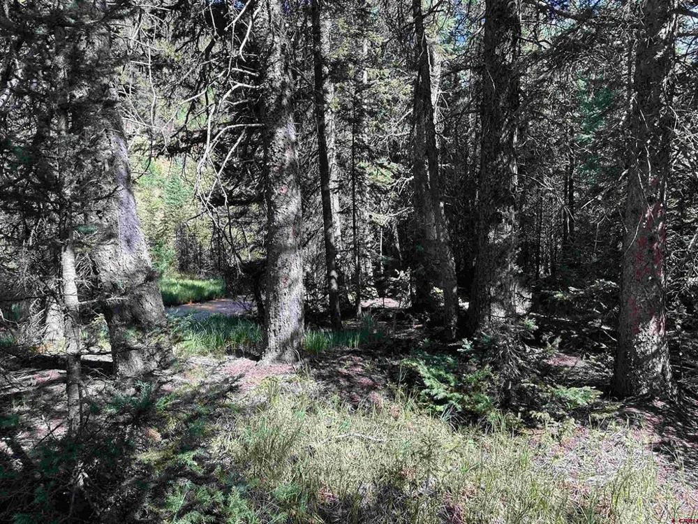 11 Overland Estates, CR 110 Silverton, CO 81433